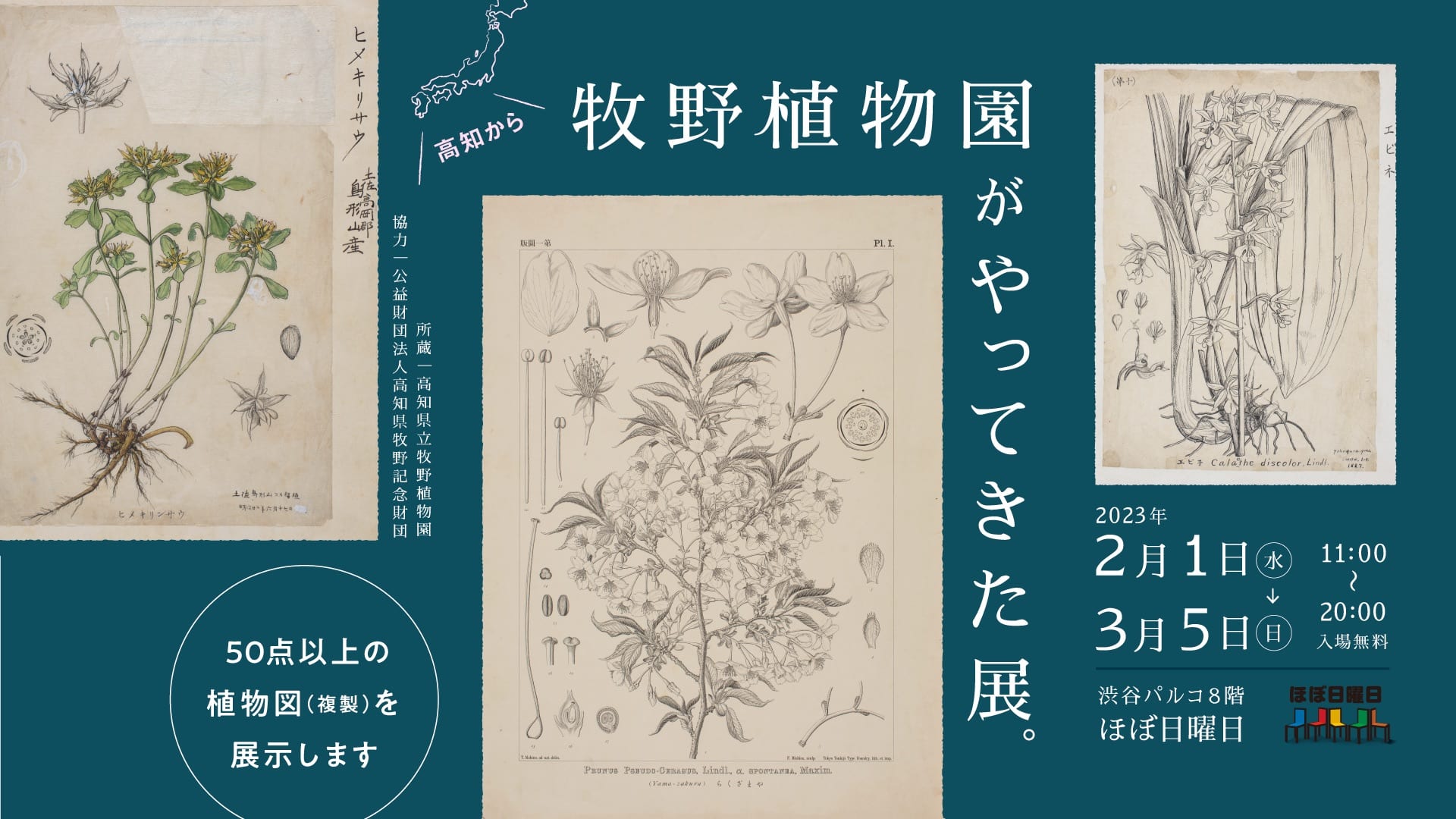 菅原一剛写真集「MAKINO 植物の肖像」