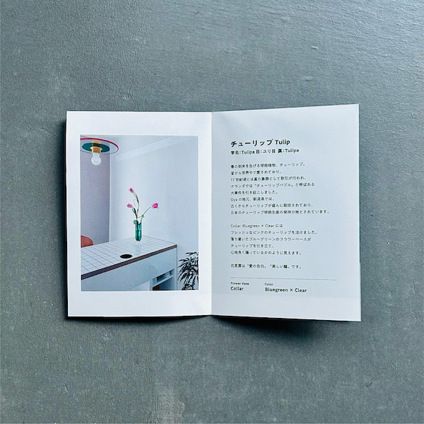 限定先行販売】TOUMEI×ShintaroOya 「Collar」フラワーベース