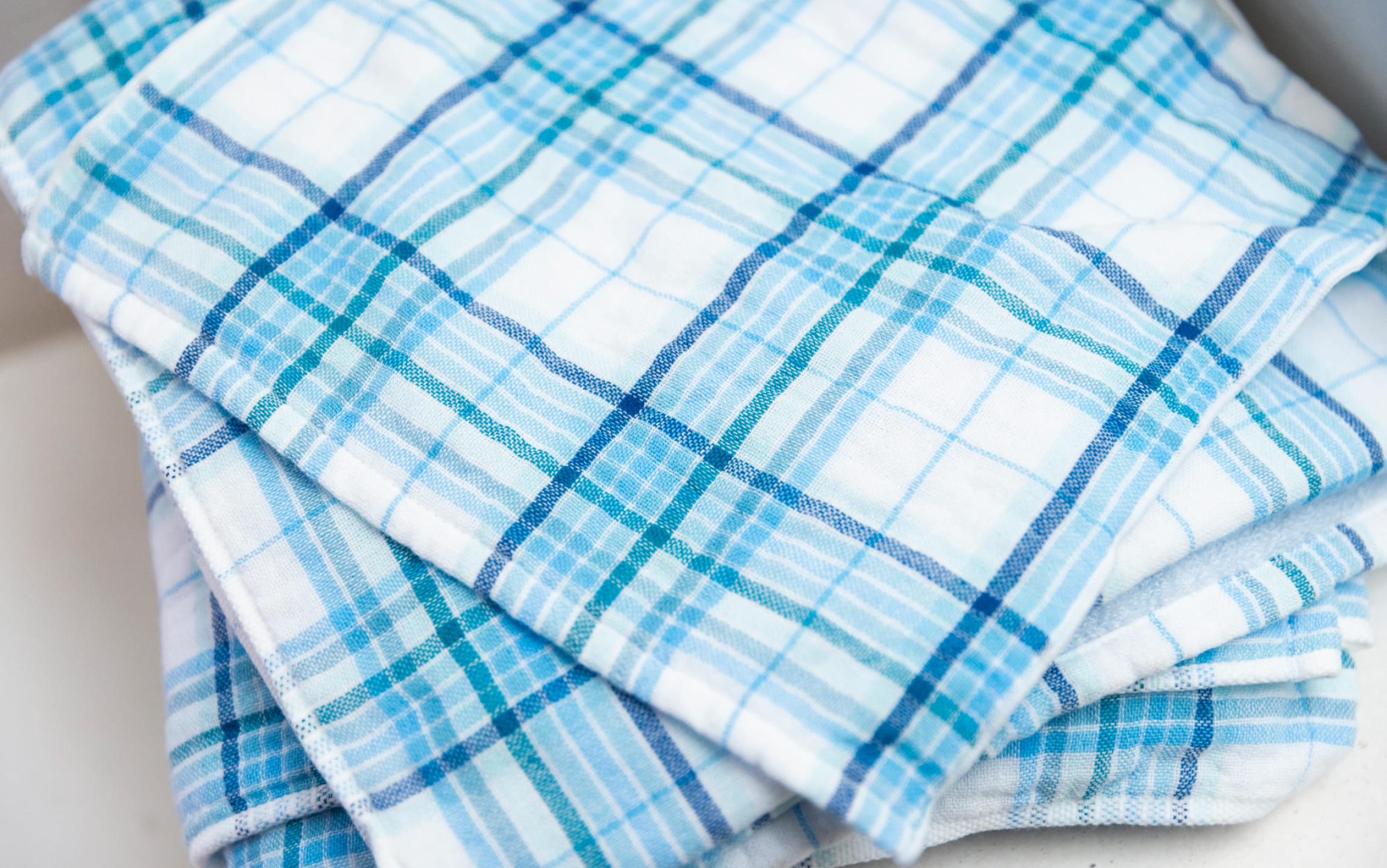 salmon_ハオルチア_アイスキューブ salmon_ハオルチア_アイスキューブ 楽天市場】ハオルチア アイス