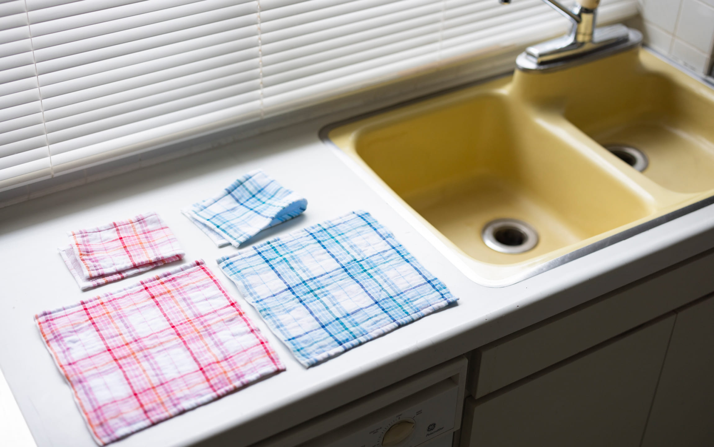 salmon_ハオルチア_アイスキューブ salmon様専用_ハオルチア_アイスキューブ