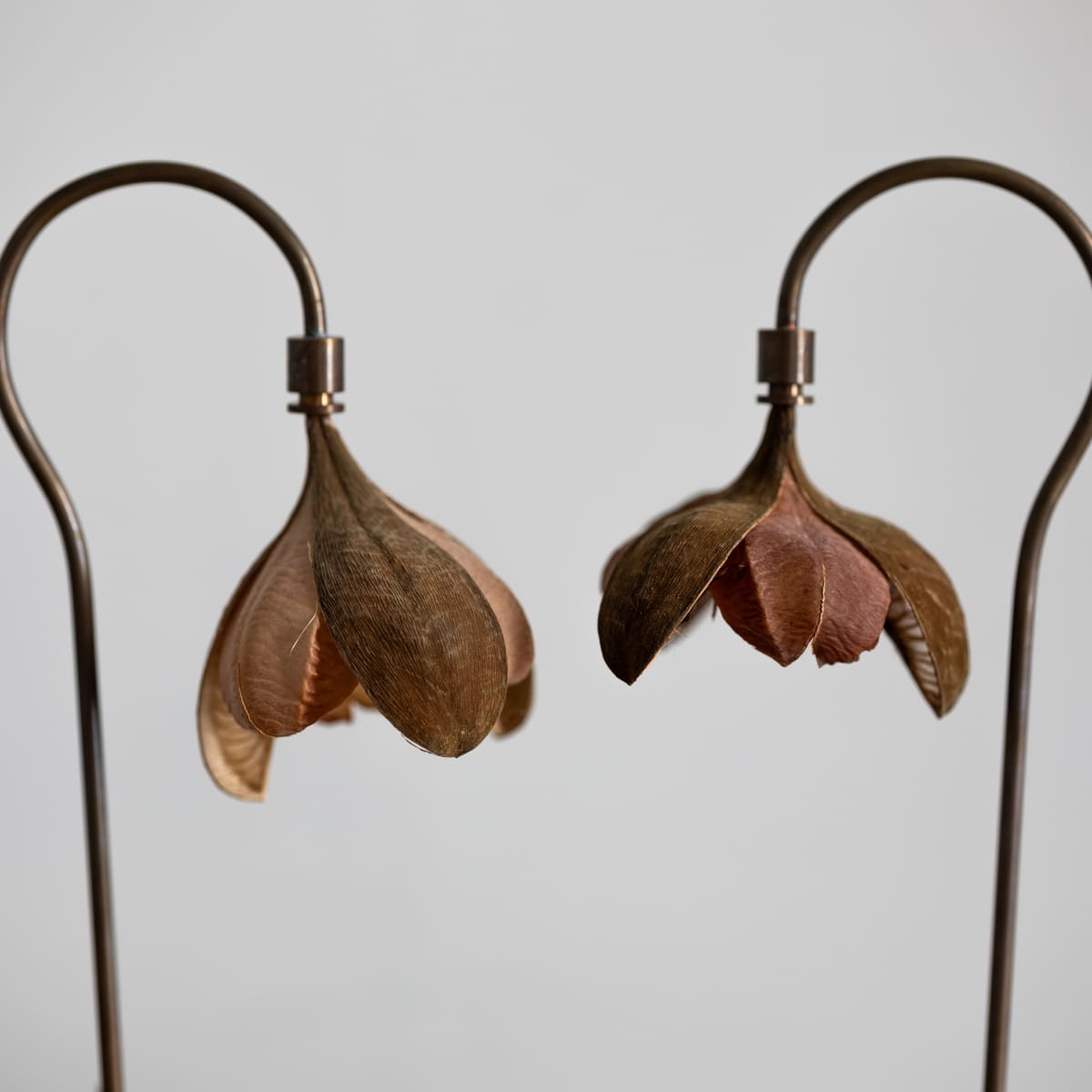 はいいろオオカミ＋花屋 西別府商店 森の小さな灯 | 石田ゆり子さんが